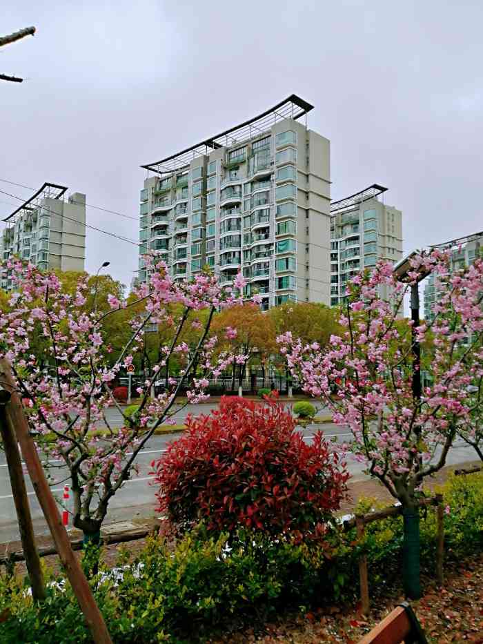 中汾泾城市绿地"无意中发现的一个城市绿地公园,沿着河长长.