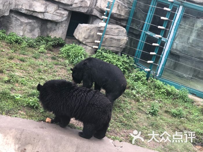 江苏溱湖动物园-图片-姜堰区周边游-大众点评网