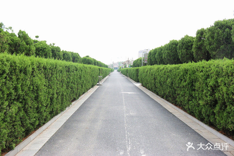 静园公墓