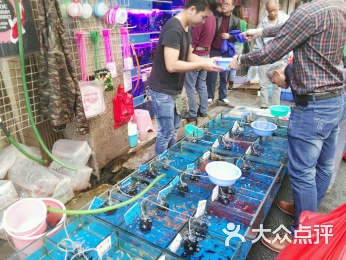 清平路水族市场图片 第2张