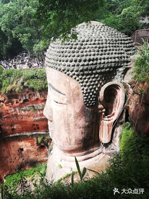 乐山大佛景区景点图片