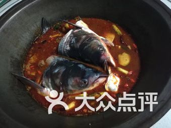 密云水库鱼价格 7XFcj4VofNifiG1vE65dlslrHM1LW-3psjLdAM1ndtTZ2KqnOjFsy49EWnD8MTEBs9bU8u7TlyVW3ovyQ7Jtmw.jpg