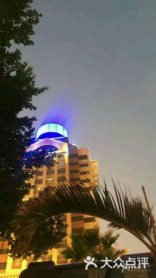 丰顺金德宝凯悦温泉国际酒店图片 - 第4张