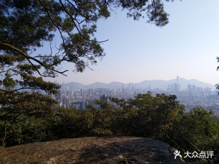 山上远望