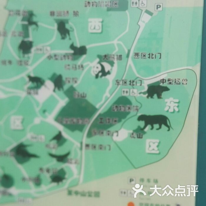 青岛动物园