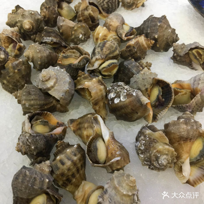 海老大海鲜烤肉火锅自助餐(天阳亲子广场店)海螺图片