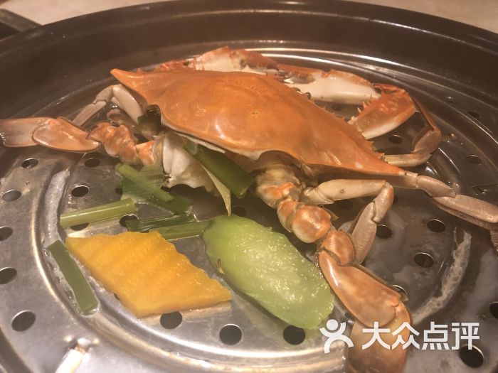 御锅宴蒸汽海鲜火锅时尚餐厅梭子蟹图片 第2362张