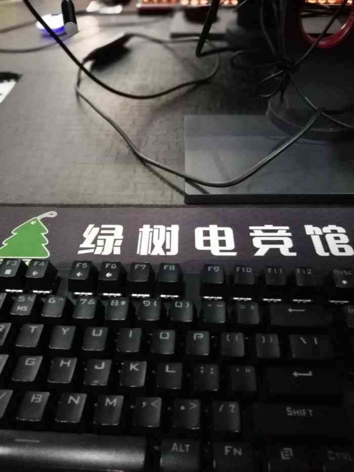 绿树电竞(华清店)