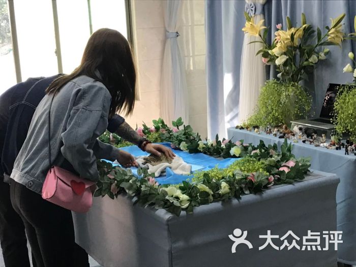 彩虹桥宠物火化善终服务