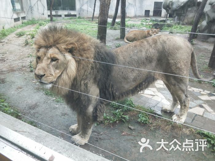 人民公园-动物园图片-宝鸡周边游-大众点评网