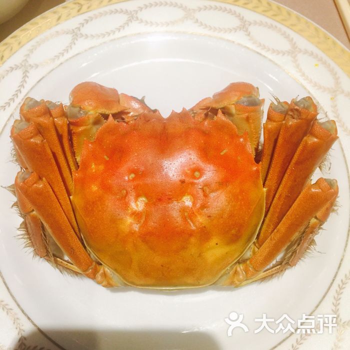 王宝和上海餐厅大闸蟹图片 第14张