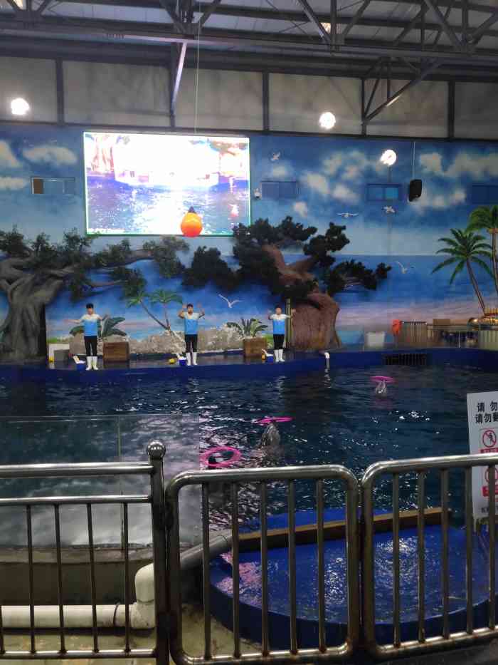 石家庄动物园海洋馆