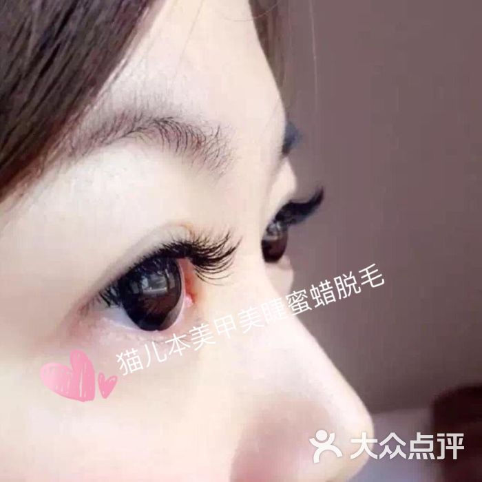 猫儿本美甲美睫蜜蜡脱毛-美睫图片-上海丽人-大众点评网