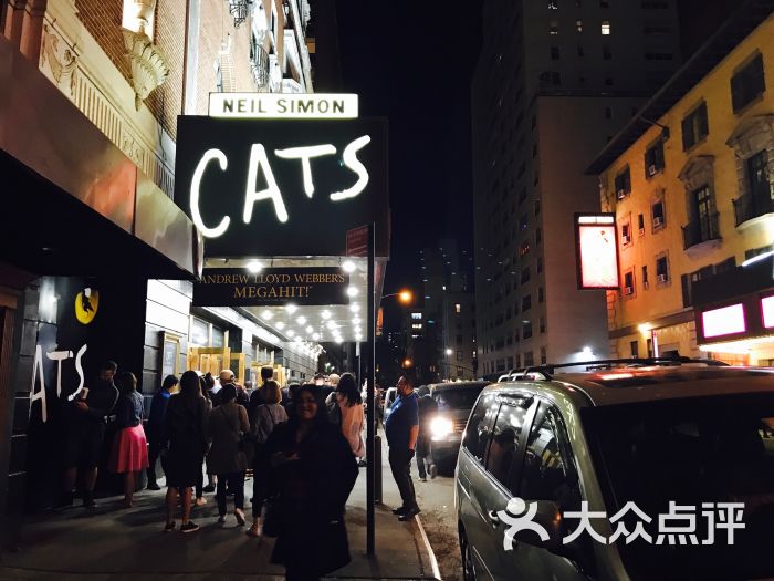 cats on broadway图片 - 第1张