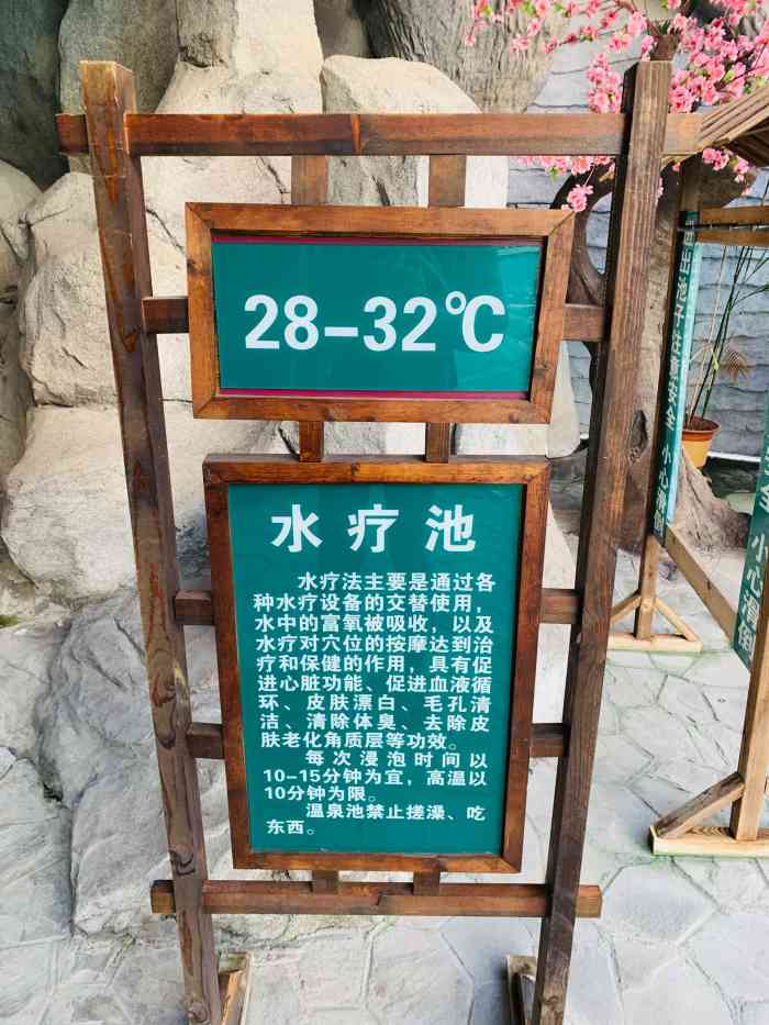 桃源温泉-"来山东莱州,年年儿子过生日都要去桃源山庄