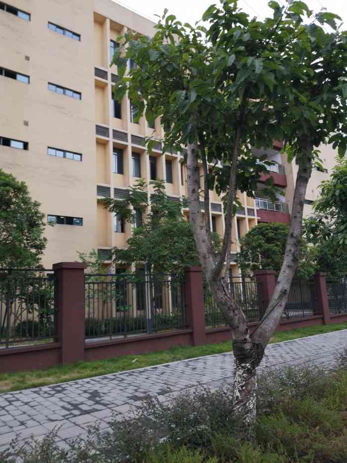 重庆大学城第四中学校-"重庆市大学城第四中学简称"大