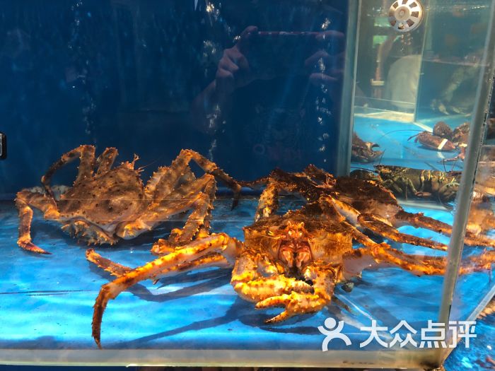 蟹满天下海鲜精致料理自助餐厅活海鲜图片 - 第4张