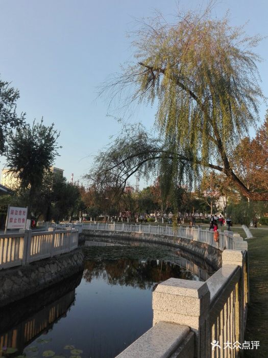 日东公园图片 第11张