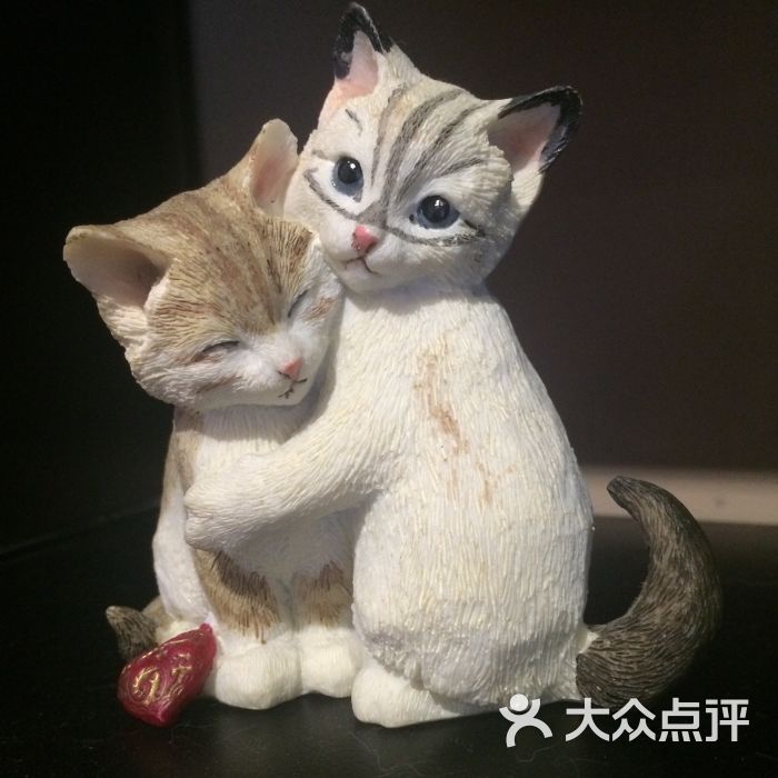 壁纸 动物 猫 猫咪 小猫 桌面 700_700