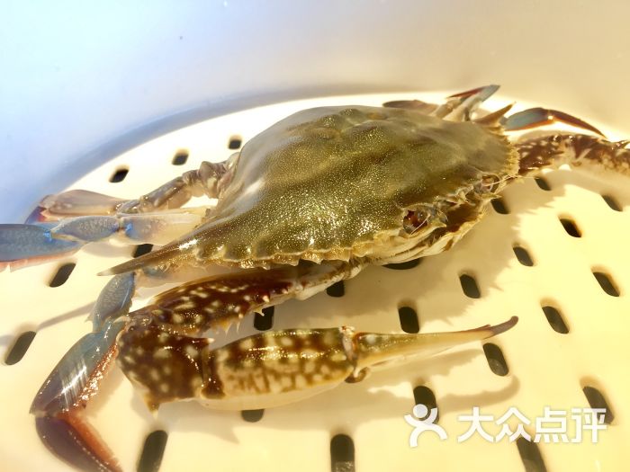 苏大嘴海鲜牧场(北石道街店-飞蟹图片-大连美食-大众点评网