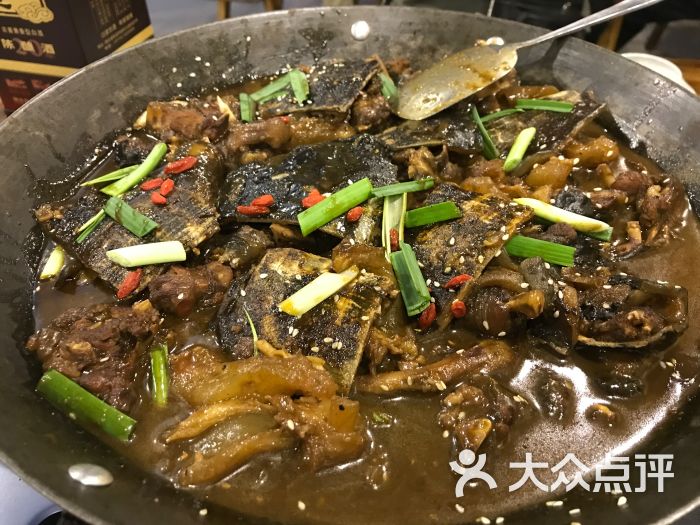 铁锅甲鱼甲鱼图片 - 第2张