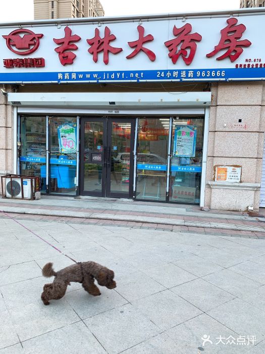 吉林大药房(保利拉菲店)图片