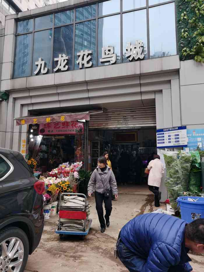 九龙花鸟城"九龙坡区花鸟市场,少年的你拍摄地,慕名而.