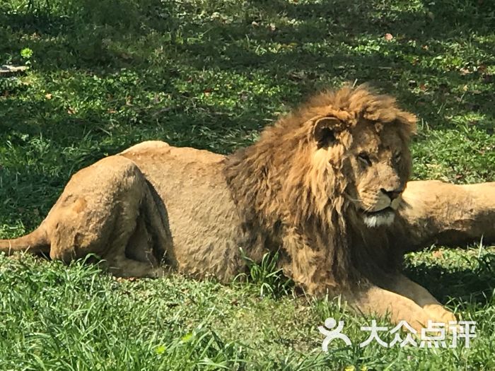 沈阳森林动物园图片 第25张
