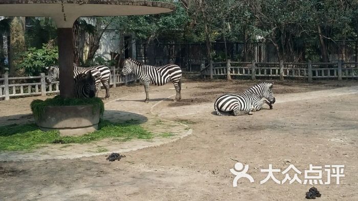 上海动物园图片 - 第5张
