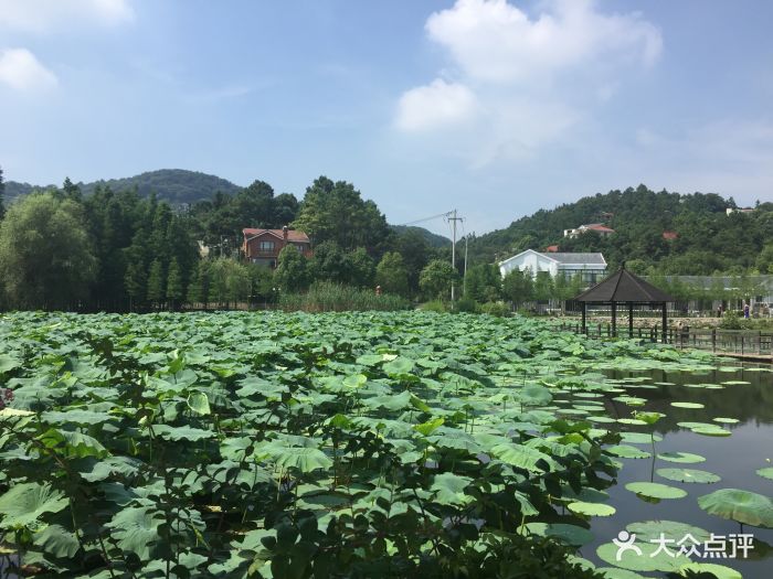 南山湖旅游度假区-图片-南京周边游-大众点评网