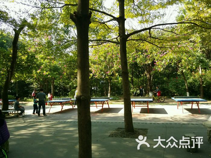 二沙岛体育公园-图片-广州景点/周边游-大众点评网