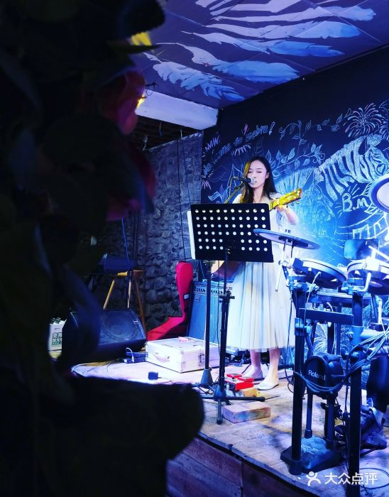 斑马酒吧·欢乐民谣(人民路2店)图片