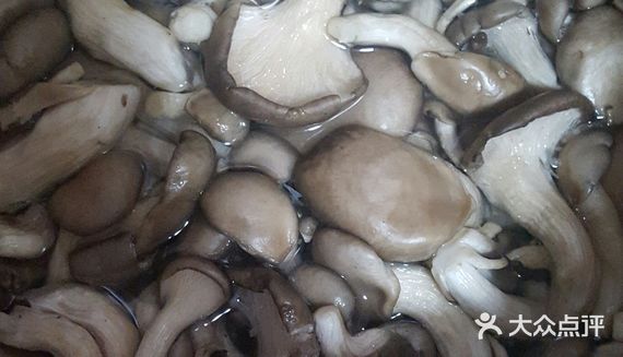 姬菇和秀珍菇的区别是什么?