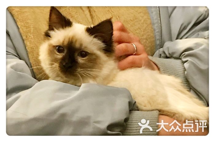 左先生探案馆:特别感谢老板发的福利,周一临时