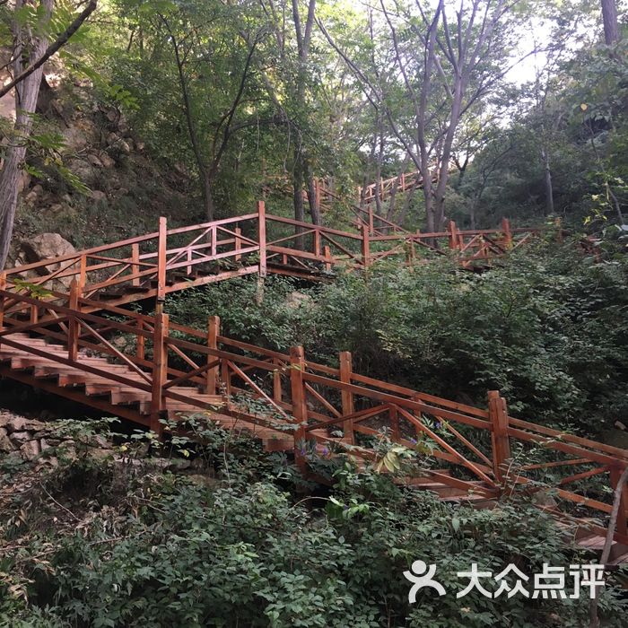 大岭沟猕猴桃谷风景区