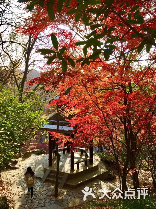 栖霞山名胜风景区图片 - 第7张