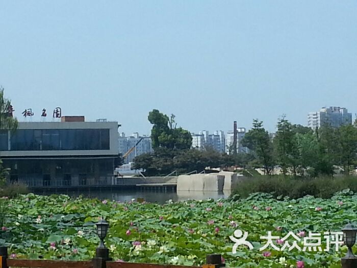 青枫公园
