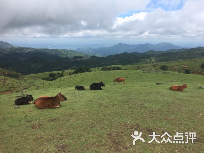 仰天湖大草原图片 - 第2张