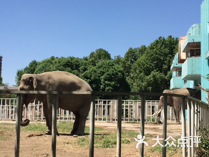 天津动物园图片 第3438张