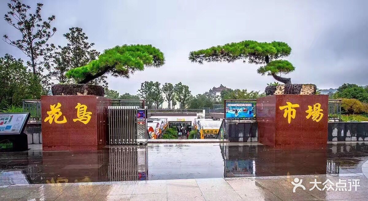 南山花鸟市场-图片-镇江购物-大众点评网