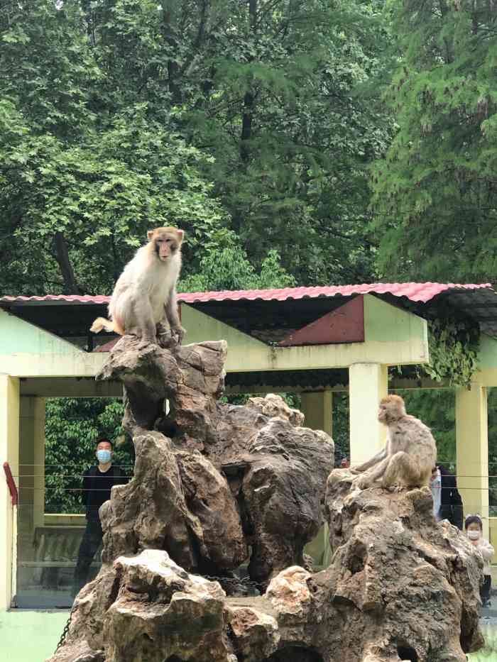 人民公园动物园