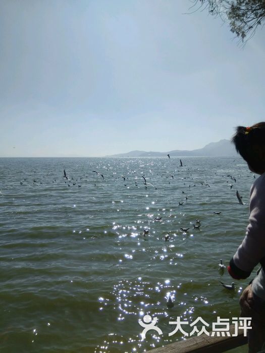 海埂美食-图片-昆明周边游成都儿童画大坝图片