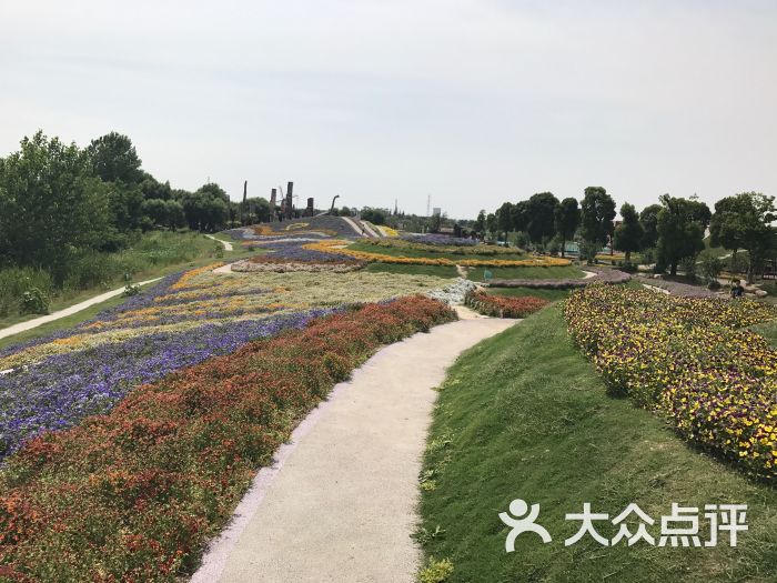 南通洲际绿博园图片 - 第9张