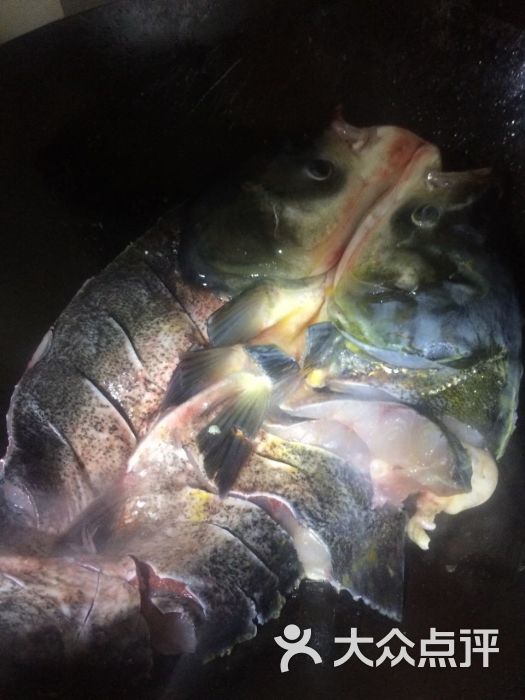 华兰家柴火鱼东江湖有机雄鱼图片 - 第5张