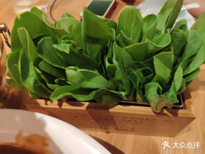生烫鸡毛菜
