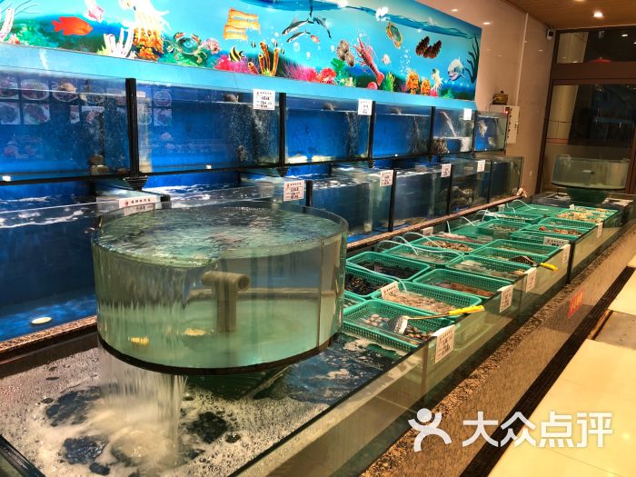 今天去老黄岛吃饭去了,看看大酒店,牧渔里.-牧神美食厨系统sodu图片