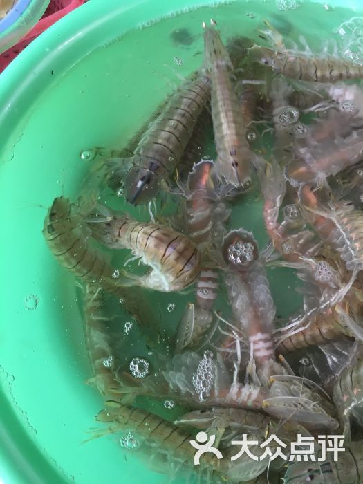 海鲜图片