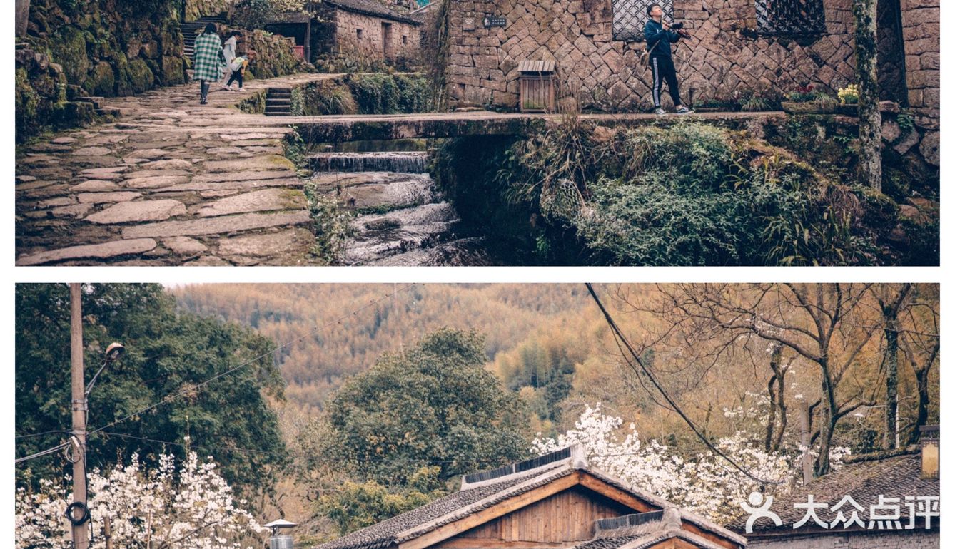 这里的梨花开了记台州黄岩半山古村落