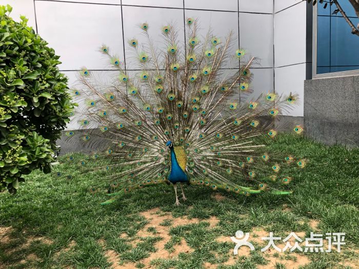 东方时尚驾校(花园桥报名处)图片 - 第3张