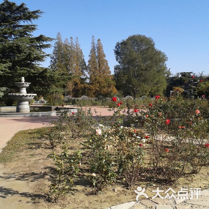 中国科学院植物研究所北京植物园温室图片-北京植物园